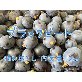 ★家庭用 粒のみ★山梨県産ぶどう【ブラックビート】1.2kg(フルーツ)