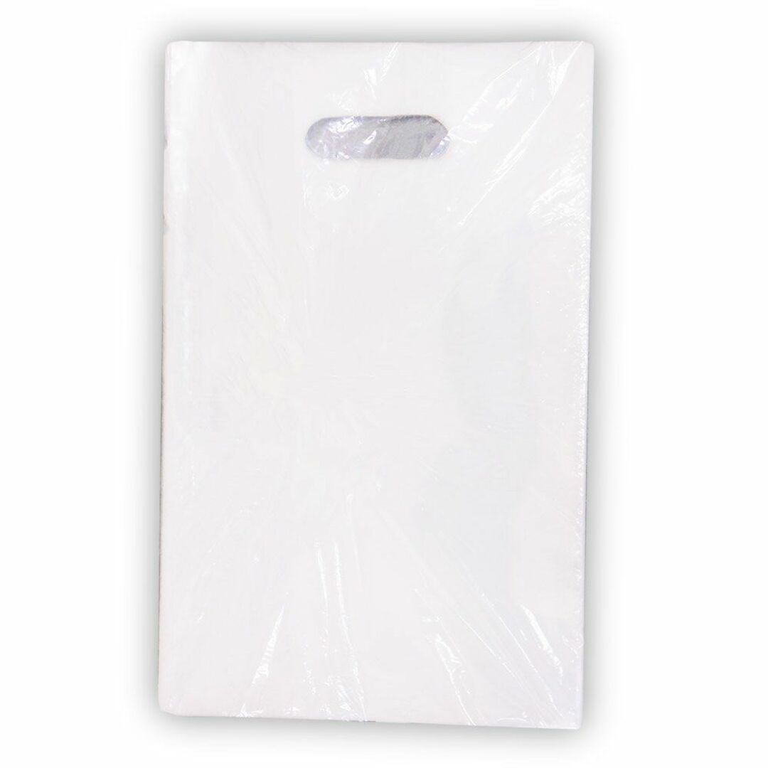 エヒメ紙工 小判抜き透明てさげ袋 B5 サイズ 100枚入 50ミクロン厚 S2