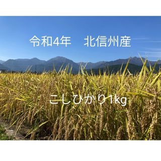 令和4年コシヒカリ　長野産1kg　ゆうパケットポスト(米/穀物)