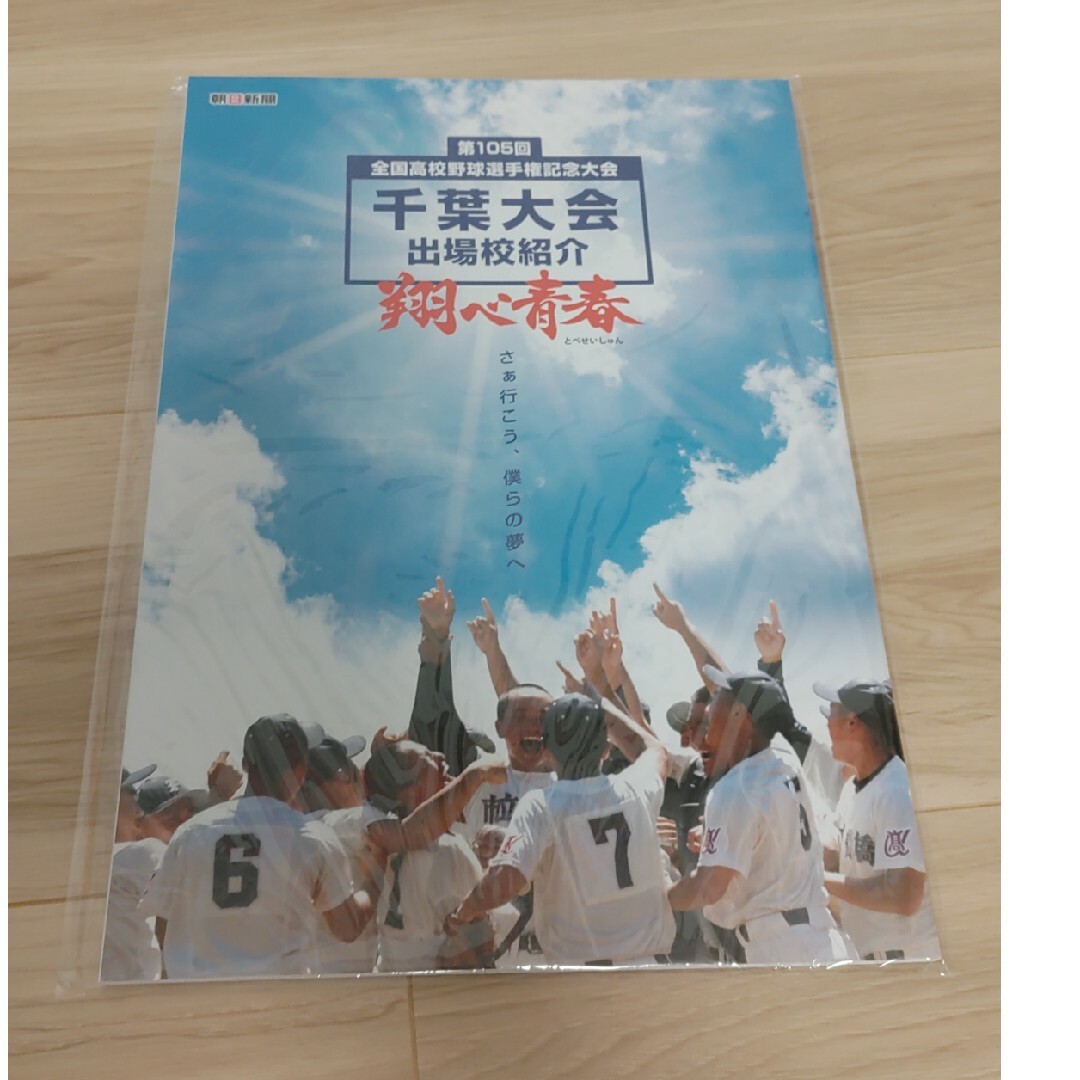朝日新聞出版(アサヒシンブンシュッパン)の跳べ青春 第105回全国高校野球選手権記念大会千葉大会 出場校紹介 エンタメ/ホビーのエンタメ その他(その他)の商品写真