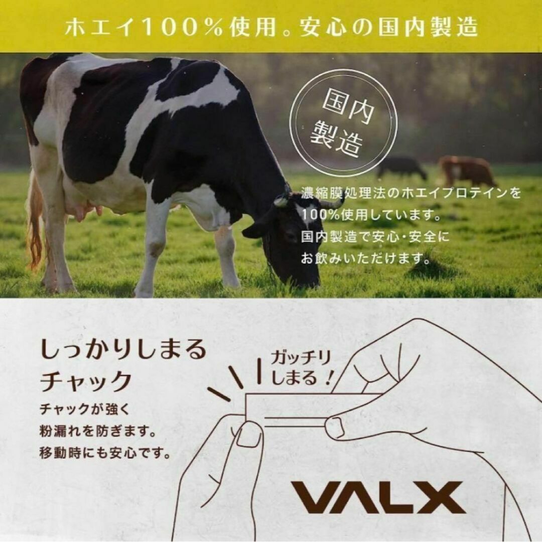 VALX バルクス ホエイ プロテイン パイナップル風味