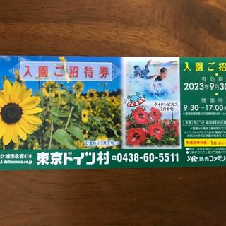 ■東京ドイツ村 入園ご招待券 ～2023.9.30★1枚■(遊園地/テーマパーク)