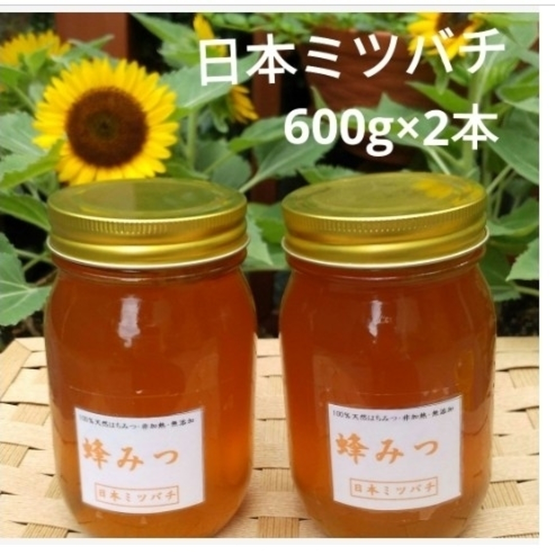 ハチミツ日本ミツバチの蜂蜜  600g×2本