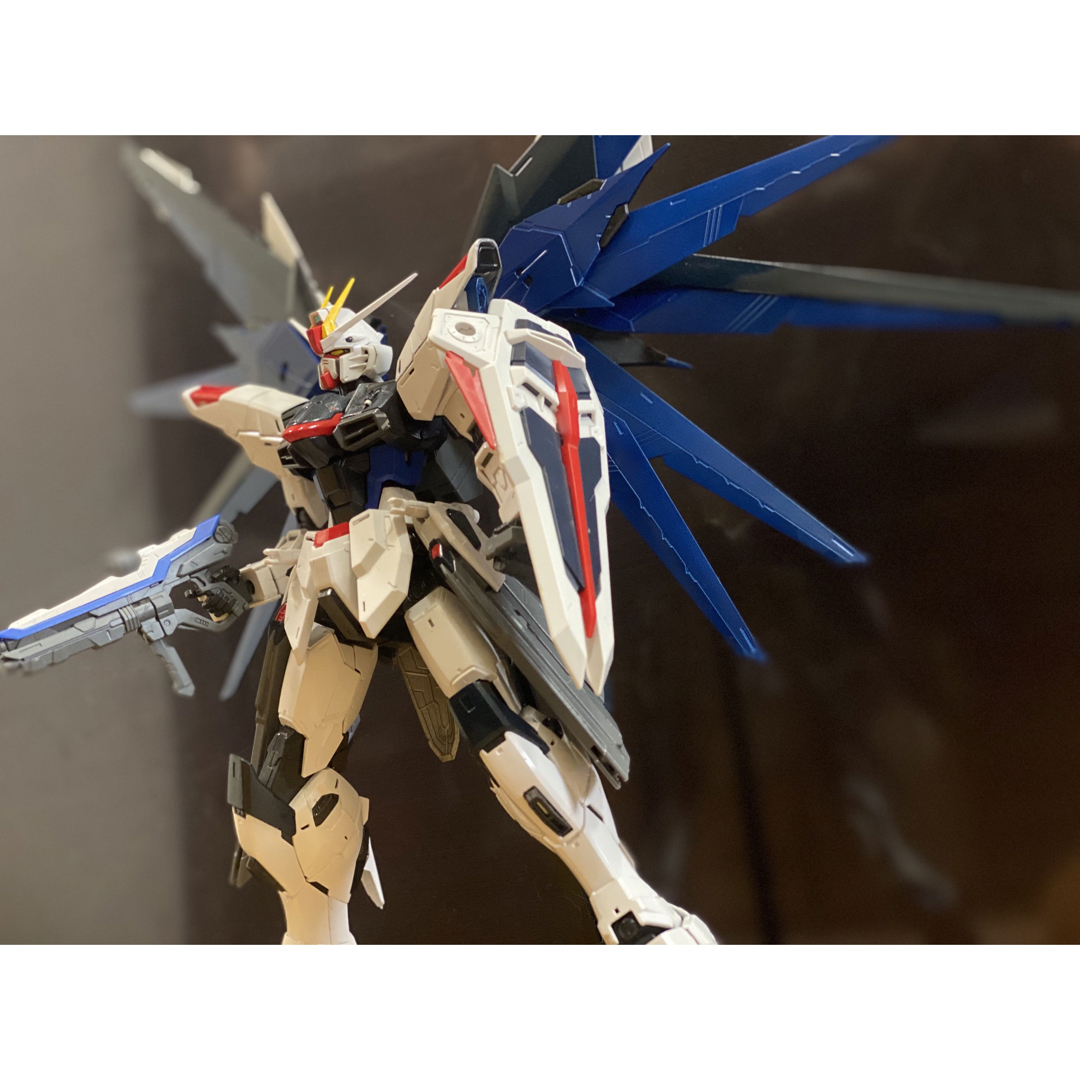 オールシーズンお得 100/1スケール (MGグレード)フリーダムガンダム
