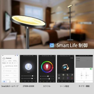 調光機能とカラーオプションを備えたモダンなフロアスタンドの通販 by