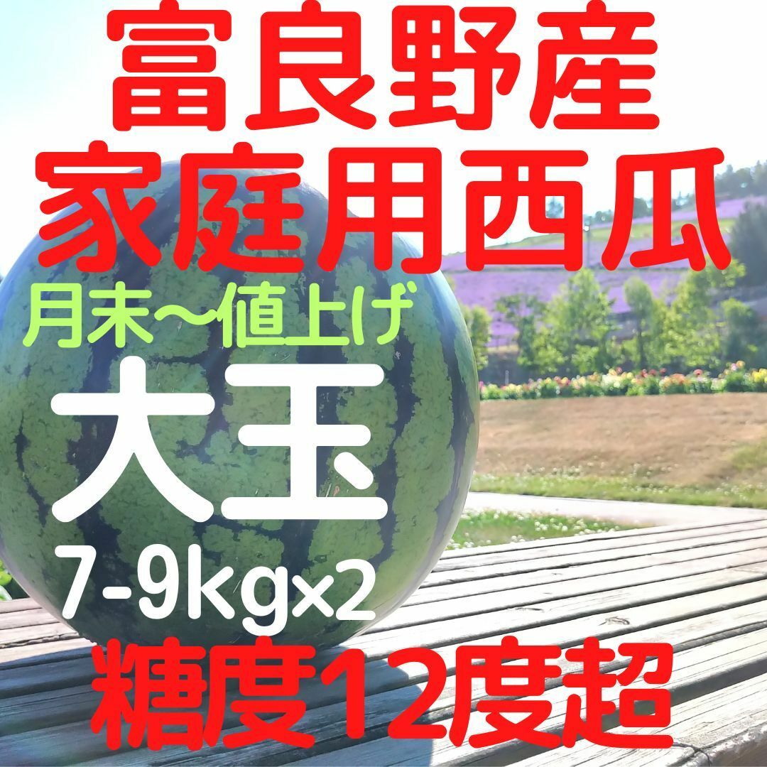 富良野産　西瓜　スイカ　7-9kg×2　大玉  ハネ品　家庭用食品/飲料/酒