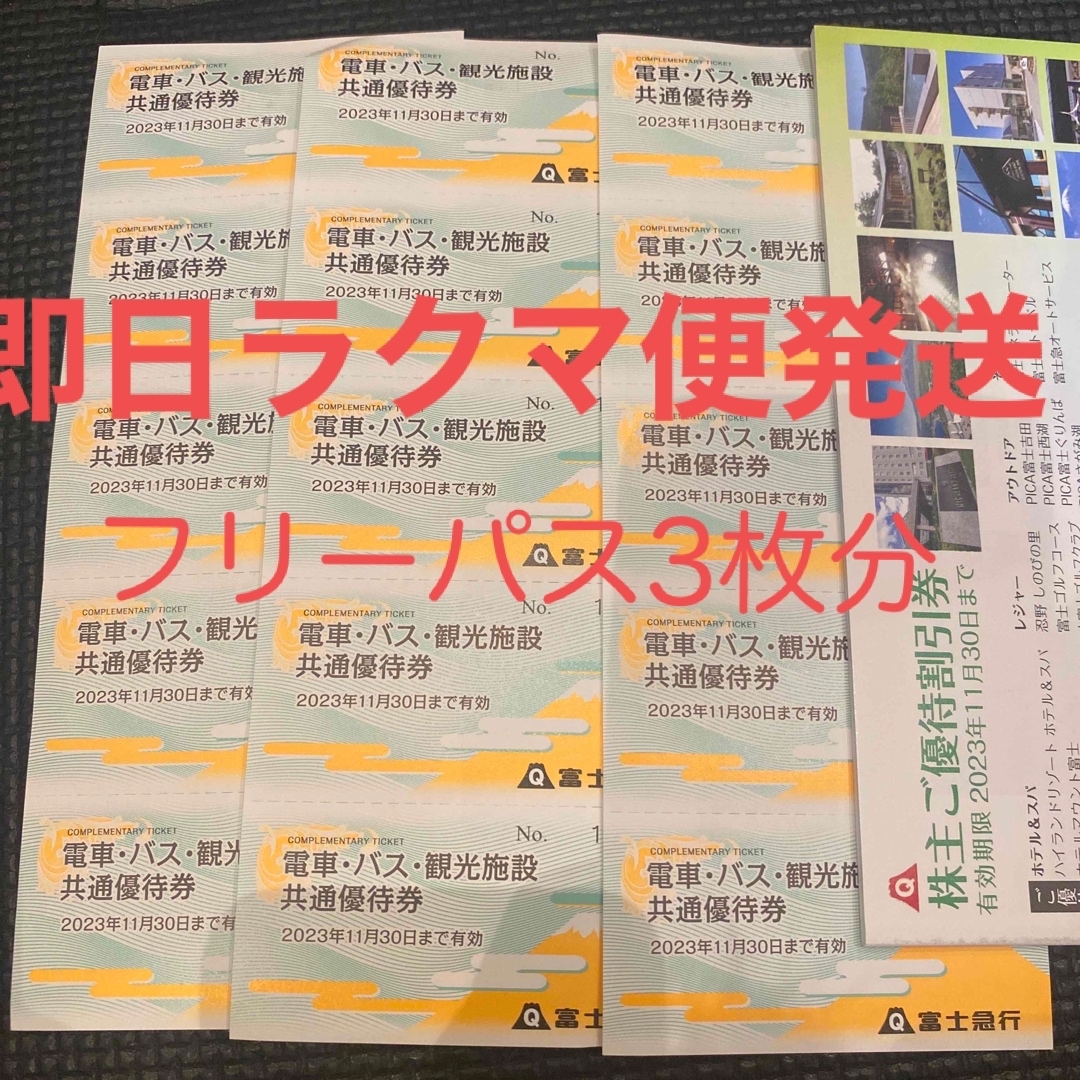 即日発送 富士急ハイランドフリーパス3枚-