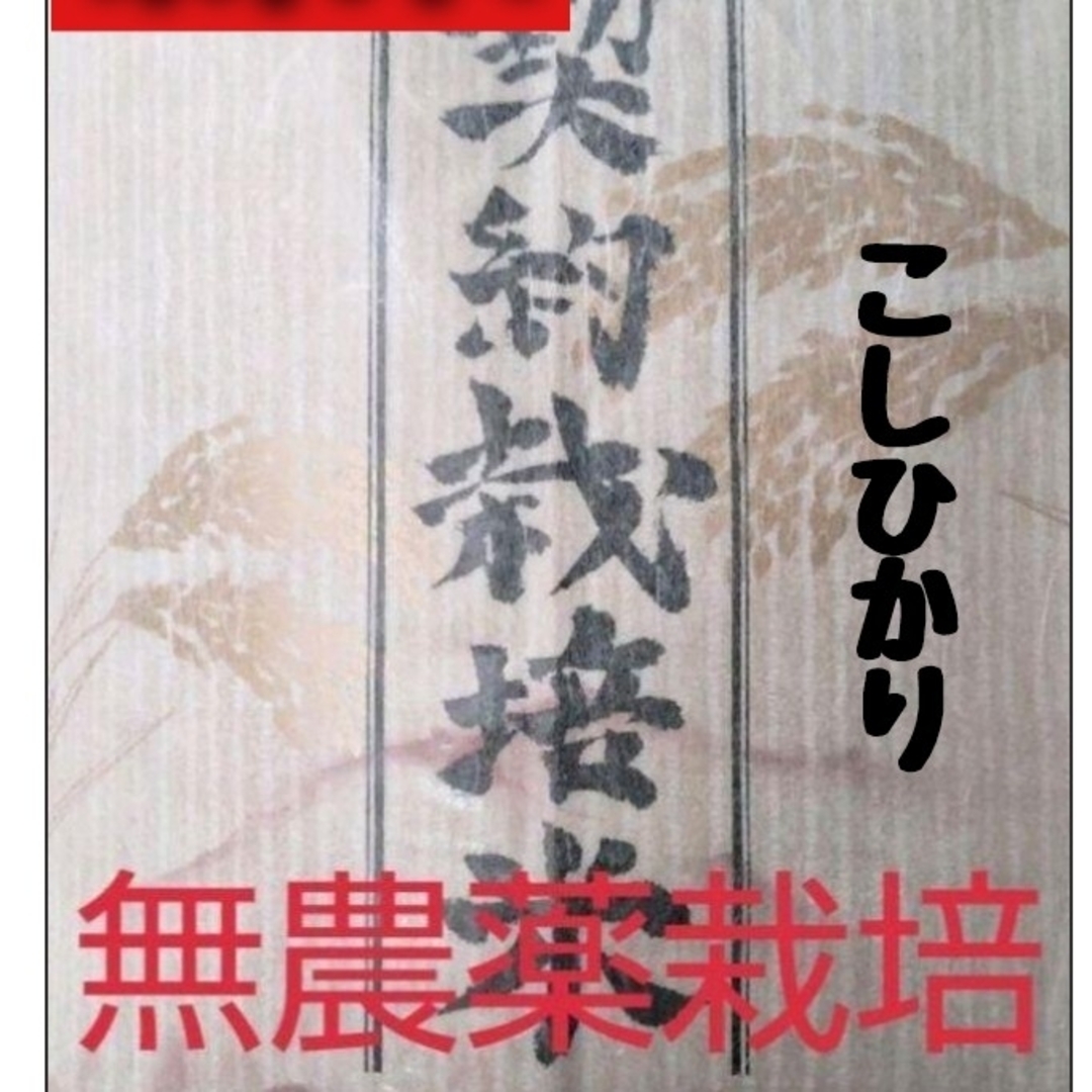 兵庫県丹波産こしひかり玄米10kg(令和4年産