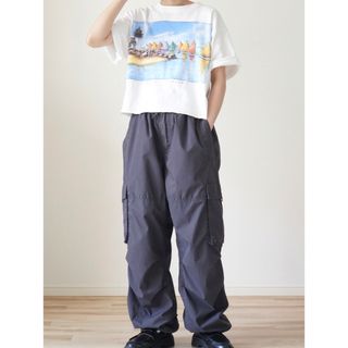 サンタモニカ(Santa Monica)の90s 古着 ALORE USA製 絵画プリント ショート丈 Tシャツ(Tシャツ(半袖/袖なし))