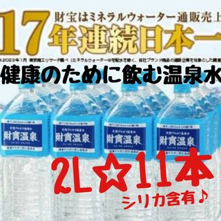 ザイホウ(ZAIHO)の財宝温泉　財寶温泉　2L　お買い得11本(ミネラルウォーター)