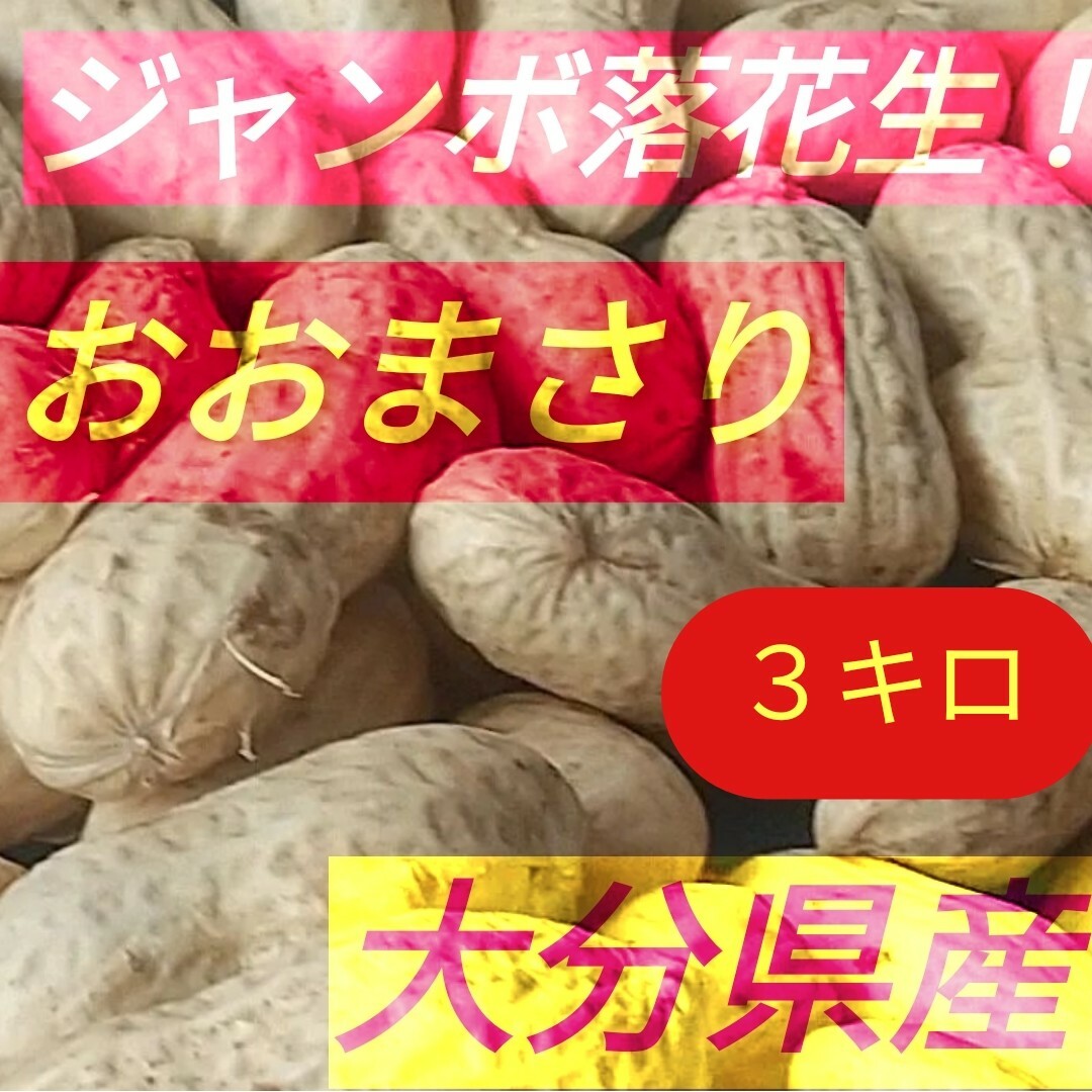 生落花生!おおまさり三キロ箱込み土つき | フリマアプリ ラクマ