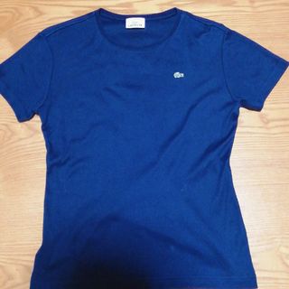 ラコステ(LACOSTE)の美品　ラコステ　Tシャツ　40　Ｌ　ネイビー　LACOSTE(Tシャツ(半袖/袖なし))