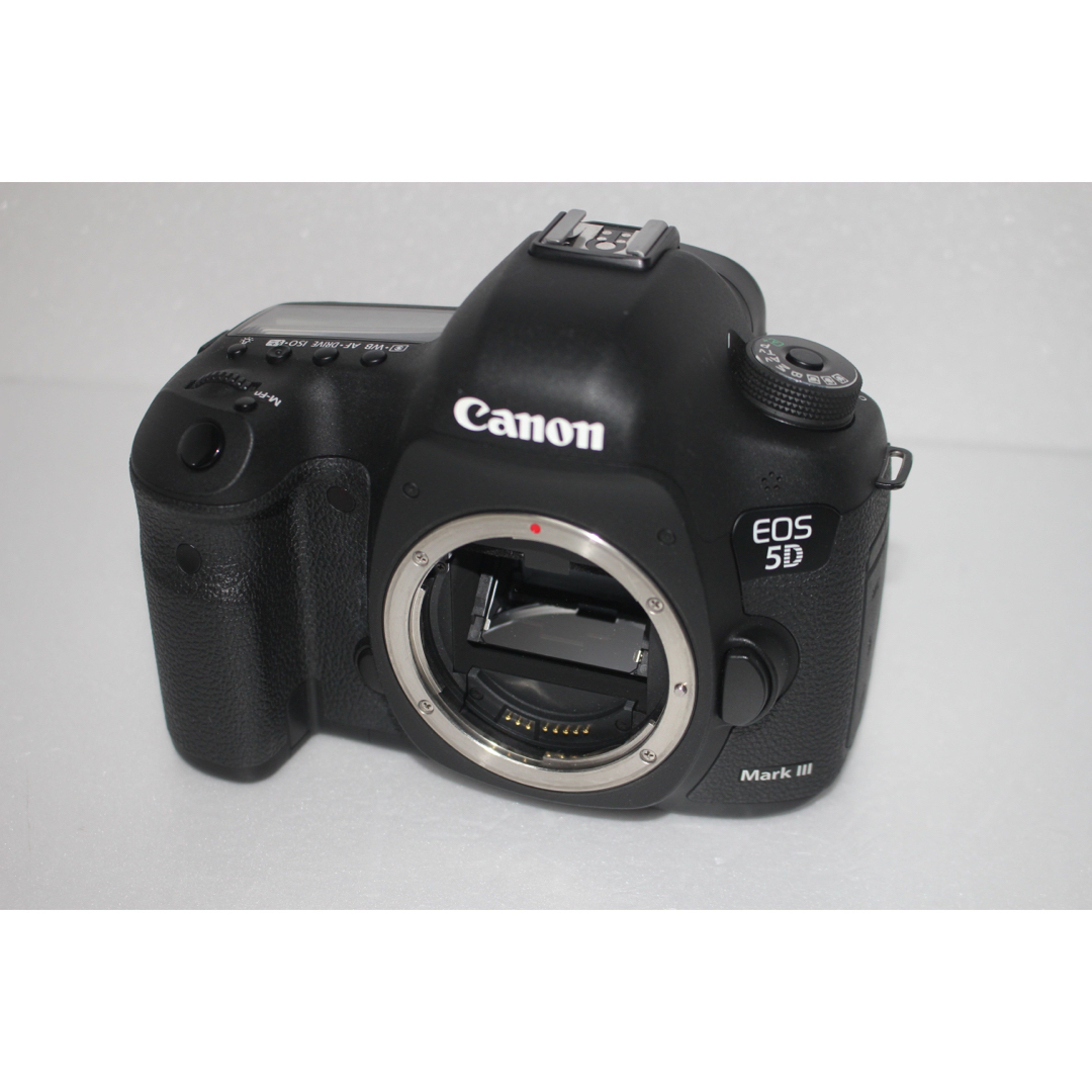 買い誠実 2230万画素 キャノン Canon MarkIIIレンズセット 5D EOS