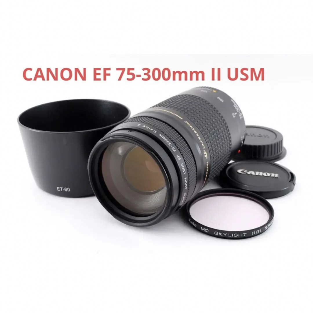 フード付 超望遠レンズ Canon EF 75-300㎜ F4-5.6 II