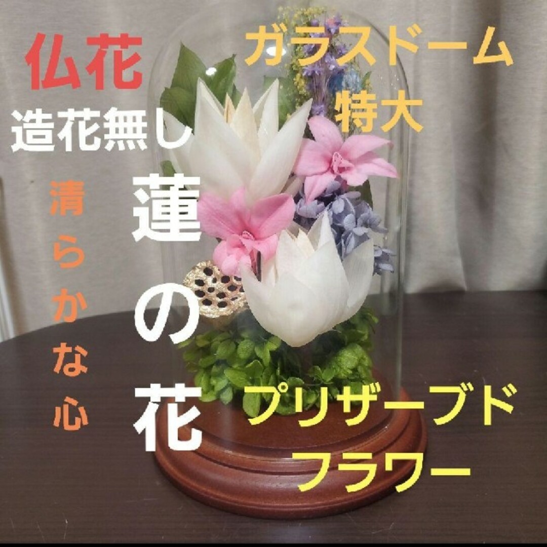 特選  プリザーブドフラワー  蓮の花　(清らかな心)  ガラスドーム　　特大