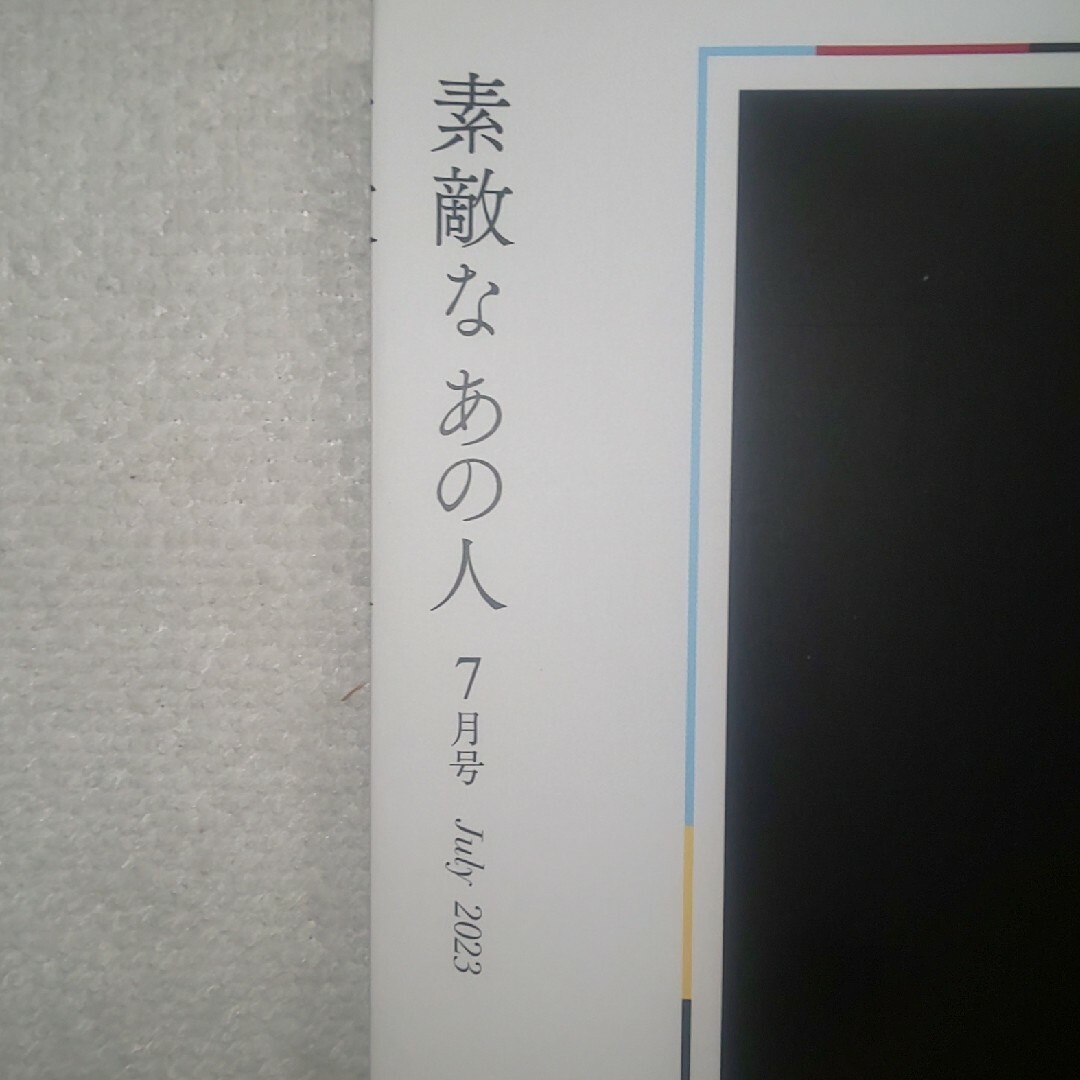 宝島社(タカラジマシャ)の【付録なし】素敵なあの人 2023年 07月号 エンタメ/ホビーの雑誌(その他)の商品写真