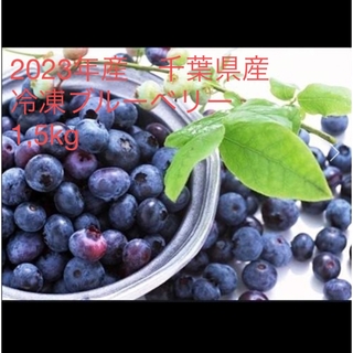 2023年産　冷凍ブルーベリー　無農薬　1,5kg(フルーツ)
