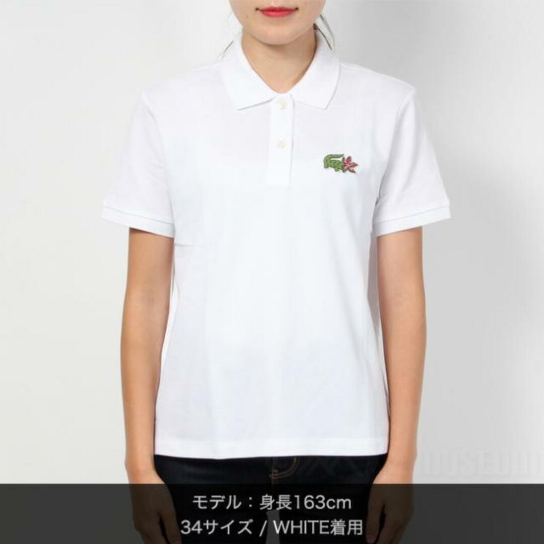 新品未使用】 Lacoste x Netflix ラコステ＆ネットフリックス