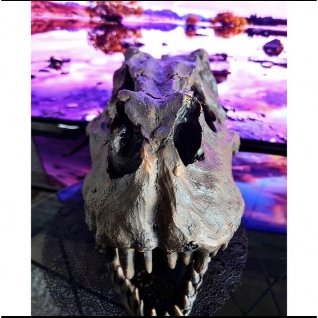大迫力✨ ティラノサウルス T-REX 頭骨 化石 オブジェ レプリカ