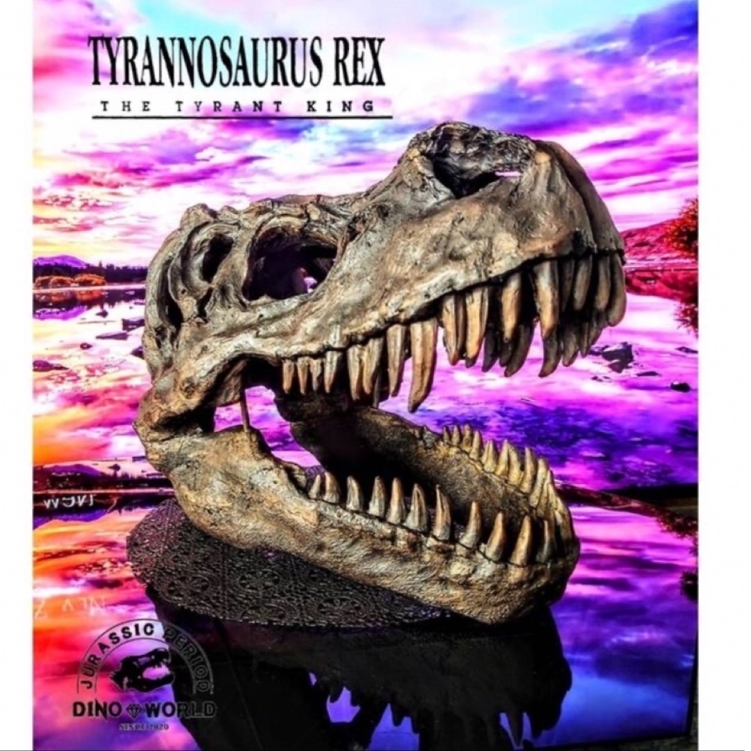 IKEA - 大迫力✨ ティラノサウルス T-REX 頭骨 化石 オブジェ レプリカ ...
