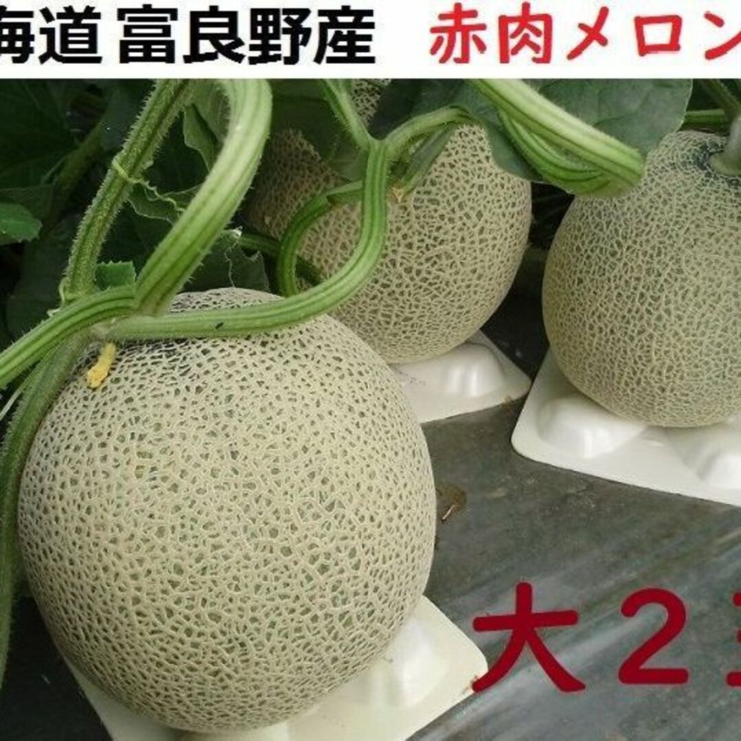 富良野産 赤肉メロン 大2玉ラベンダ付 (1.8kg以上/玉) 食品/飲料/酒の食品(フルーツ)の商品写真