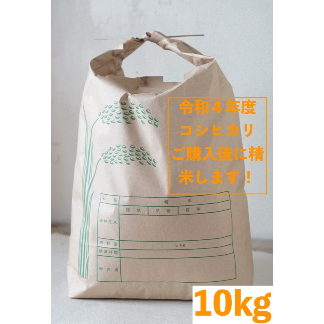 新米【精米後１０ｋｇ】令和４年度三重県産コシヒカリ！精米したてが美味しいお米！