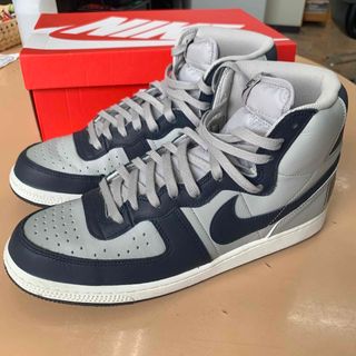 Nike Terminator High Georgetown 30cm