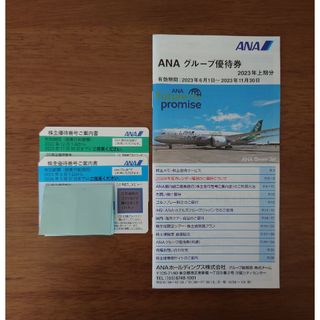 エーエヌエー(ゼンニッポンクウユ)(ANA(全日本空輸))のANA株主優待券2枚+グループ優待券(航空券)