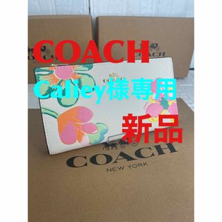 コーチ(COACH)のCOACHチョークマルチ ドリーミー ランド フローラル スリム ジップ(財布)