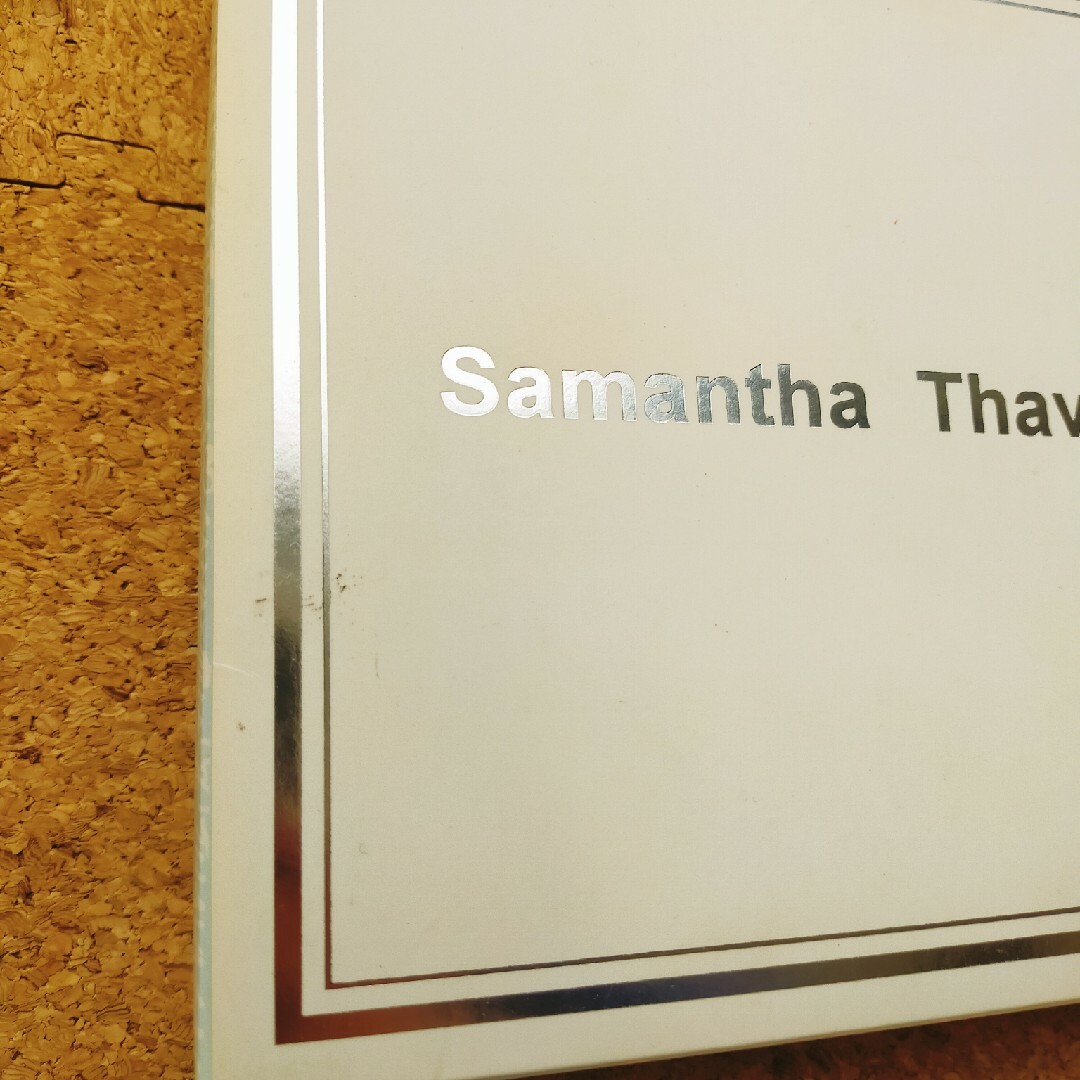 Samantha Thavasa(サマンサタバサ)のSamantha Thavasa　レザーケアセット レディースのバッグ(その他)の商品写真