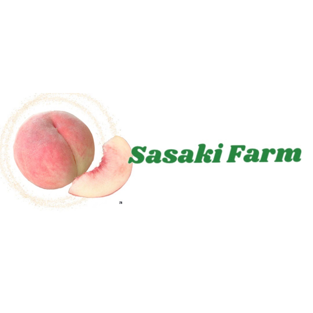 【本日限定!聖光勝利記念セール!】川中島桃 5kgセット 12-18pcs