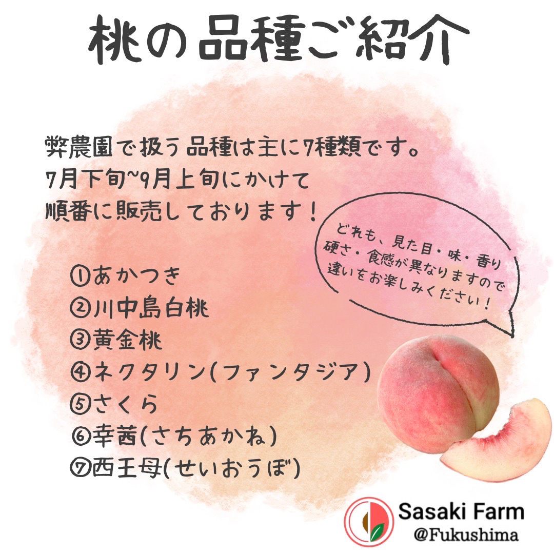【本日限定!聖光勝利記念セール!】川中島桃 5kgセット 12-18pcs