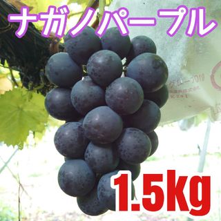 ナガノパープル　房　1.5kg　長野県産　農家直送　お盆に　お土産に(フルーツ)