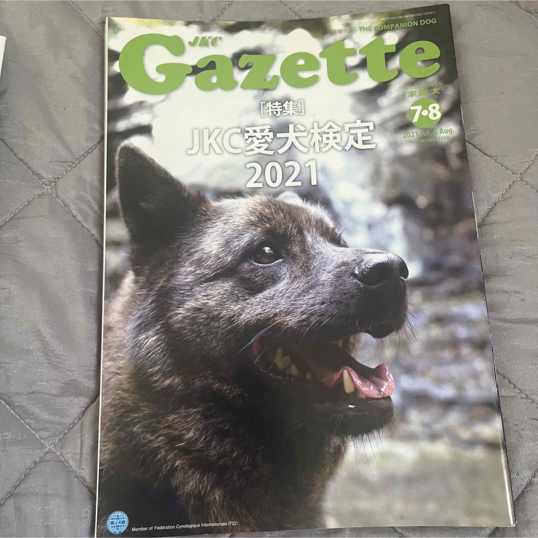 JKC  Gazette  家庭犬　ガゼット エンタメ/ホビーの雑誌(専門誌)の商品写真