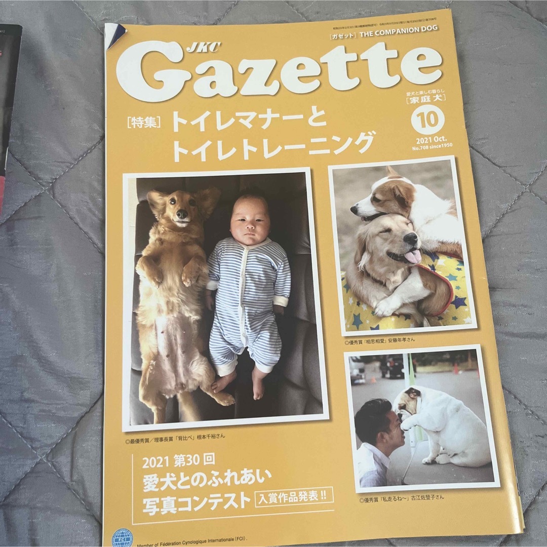 JKC  Gazette  家庭犬　ガゼット エンタメ/ホビーの雑誌(専門誌)の商品写真