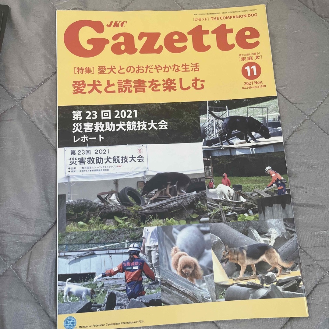 JKC  Gazette  家庭犬　ガゼット エンタメ/ホビーの雑誌(専門誌)の商品写真