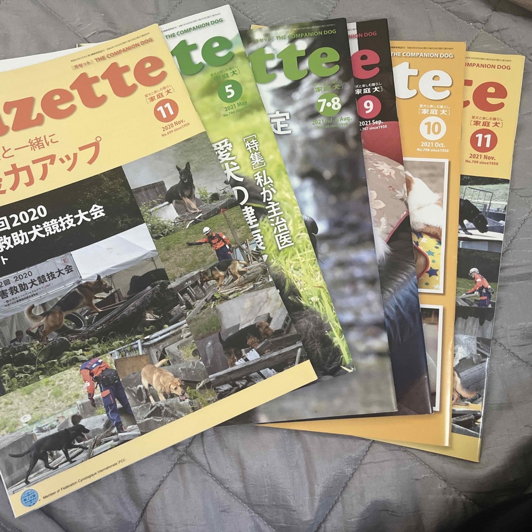 JKC  Gazette  家庭犬　ガゼット エンタメ/ホビーの雑誌(専門誌)の商品写真