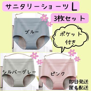 【残りわずか★早い者勝ち】サニタリーショーツ　パンツ　下着　ポケット付き　3点(ショーツ)