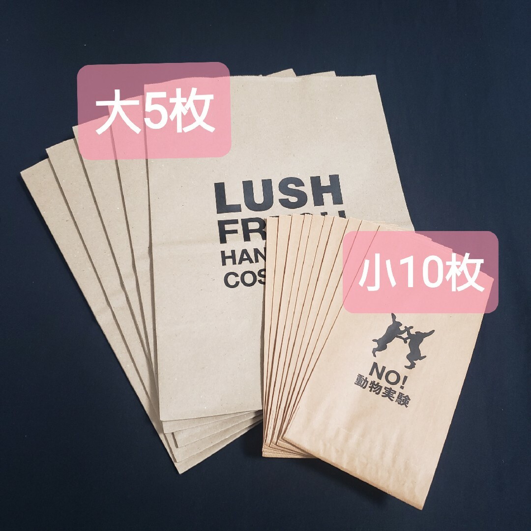 LUSH(ラッシュ)の【新品未使用】LUSHショッパー紙袋5枚＆小袋封筒10枚ギフト袋紙袋 レディースのバッグ(ショップ袋)の商品写真