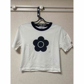 リリーブラウン(Lily Brown)の【LILY BROWN ×MARY QUANT】バリエーションクロップドTシャツ(Tシャツ(半袖/袖なし))