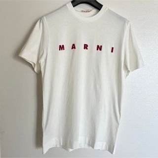 マルニ Tシャツ(レディース/半袖)の通販 300点以上 | Marniの