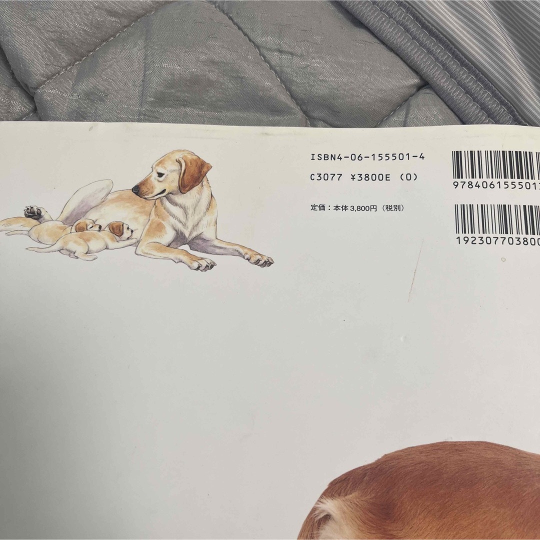 イラストでみる犬学 エンタメ/ホビーの本(科学/技術)の商品写真