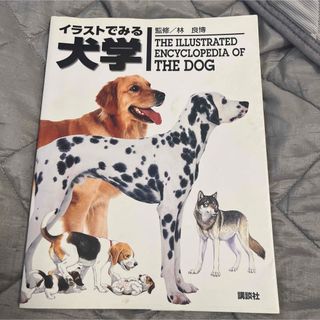 イラストでみる犬学(科学/技術)