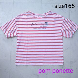 ポンポネット(pom ponette)のポンポネット　☆　半袖　Tシャツ　160 - 165(Tシャツ/カットソー)