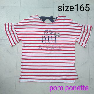 ポンポネット(pom ponette)のポンポネット　☆　半袖　Tシャツ　160 - 165(Tシャツ/カットソー)