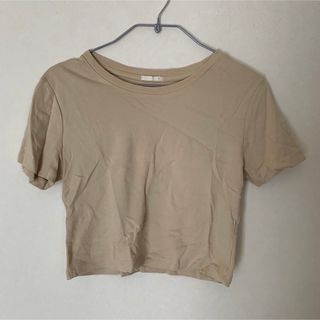 ジーユー(GU)のGU  ショート丈　半袖Tシャツ　Mサイズ(Tシャツ(半袖/袖なし))