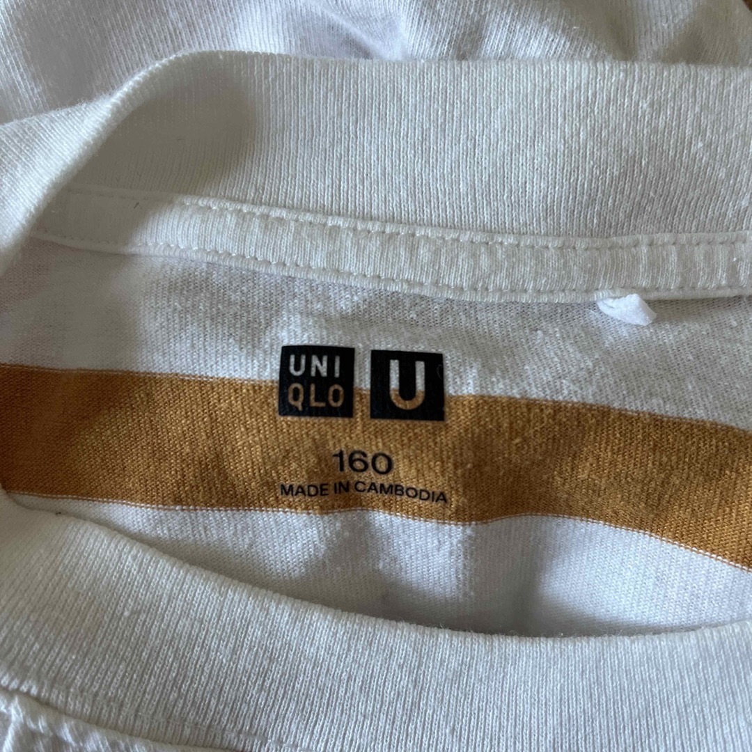 UNIQLO(ユニクロ)のユニクロUNIQLO ボーダー　Tシャツ　白✖︎キャメル　サイズ160 キッズ/ベビー/マタニティのキッズ服男の子用(90cm~)(Tシャツ/カットソー)の商品写真