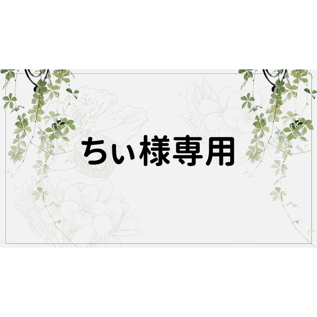 ちぃ様専用ページの通販 by コラージュ屋/新品出品中|ラクマ