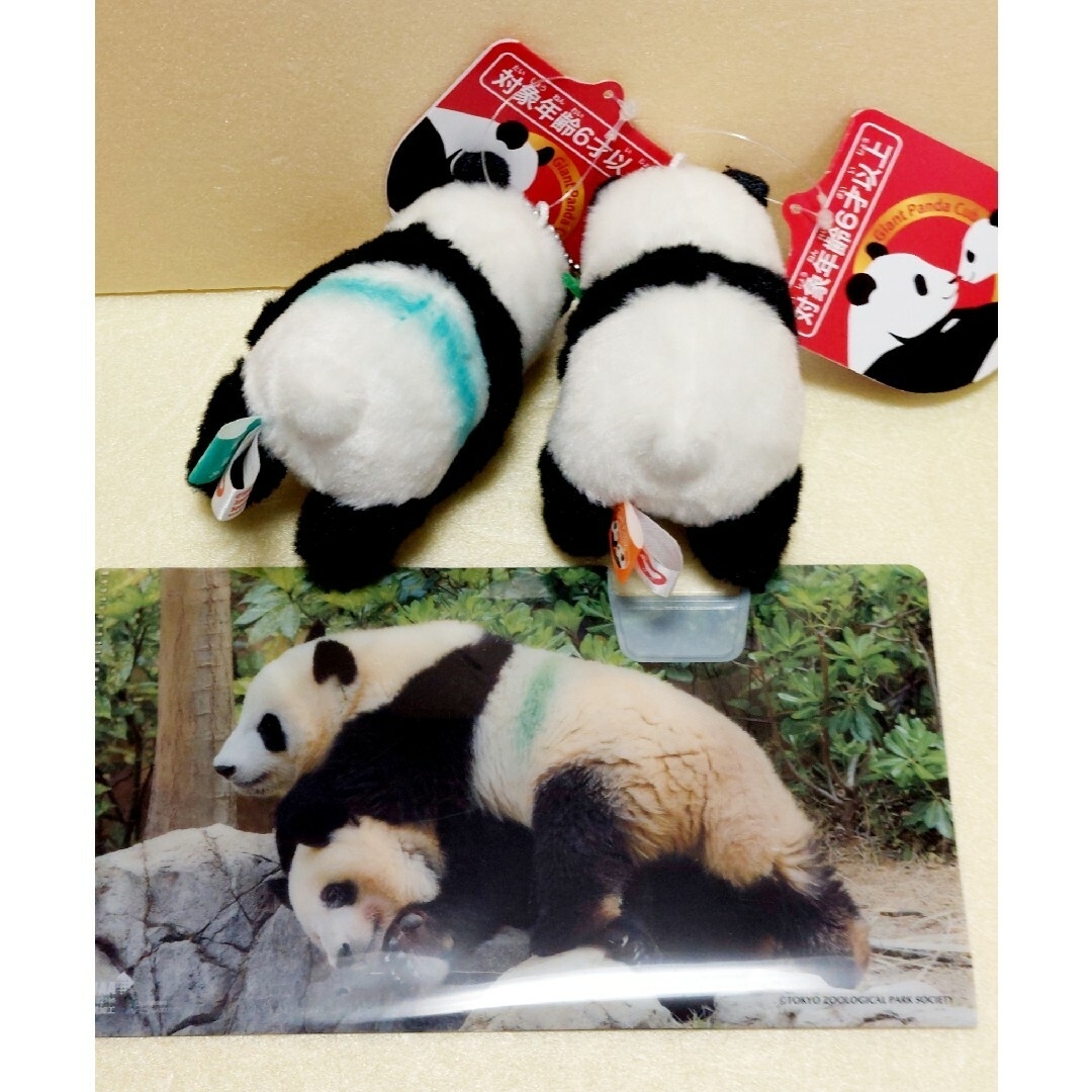 新品 上野動物園 ジャイアントパンダ シャオシャオ & レイレイ 新品 上野動物園 ジャイアントパンダ シャオシャオ & レイレイ