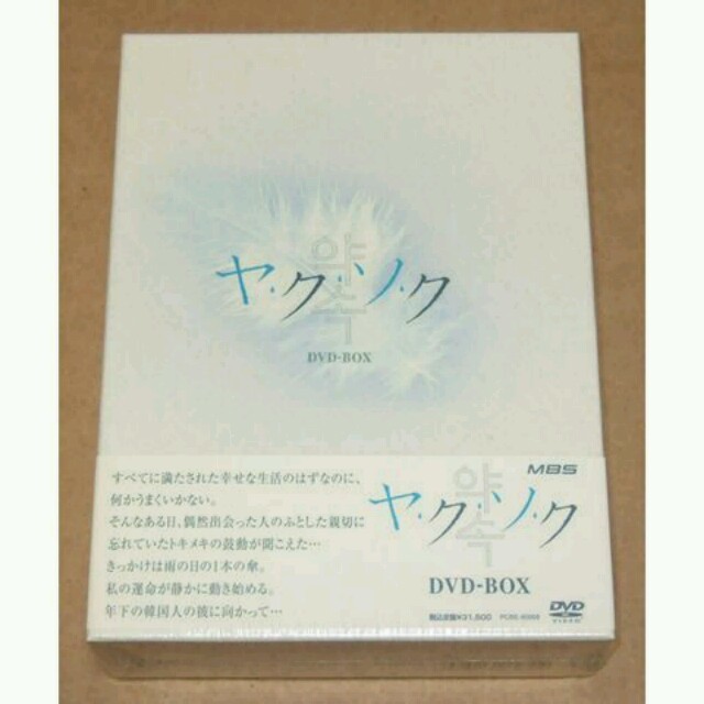 ヤクソク DVD BOX　南野陽子